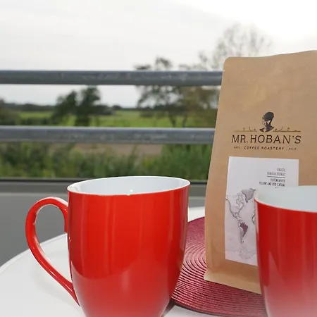 Διαμέρισμα Duhner Horizonte